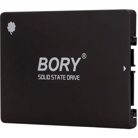 BORY 256 GB 2.5 INCH SSD 550/510 MBS