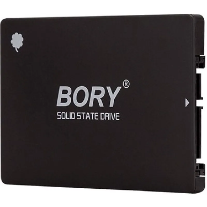 BORY 256 GB 2.5 INCH SSD 550/510 MBS