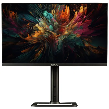EXA AIO X24S PRO-V2 C55 i5-12400 16GB 512GB m.2 23.8" DOS Siyah