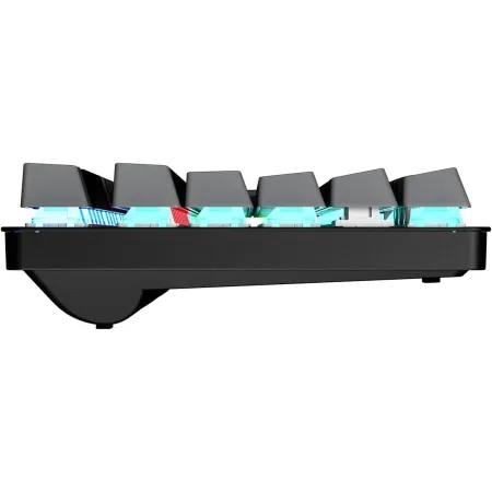 GAMEPOWER EVA 5 Red Switch Rainbow Gaming Oyuncu Klavye